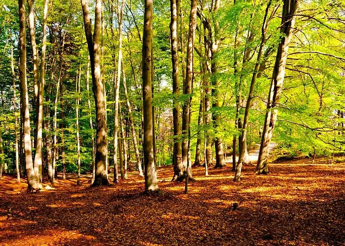 Monterosso ורבאניה